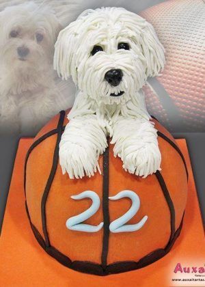 Tarta perro Bichón con figura 3D sobre balón y número 22 en Auxaitartas