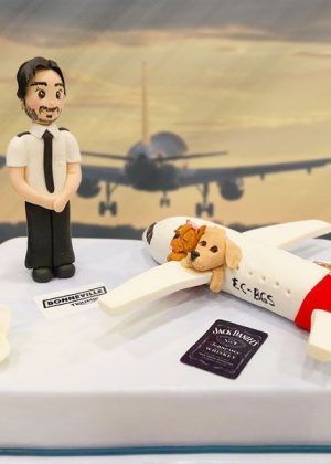 Tarta piloto y avión modelados