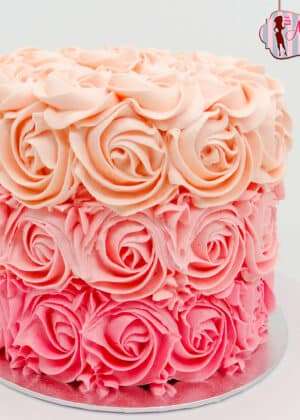 Smashed Cake degradado de colores