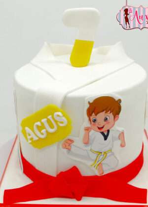 Tarta infantil karate