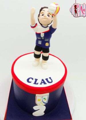 Tarta personalizada volleyball